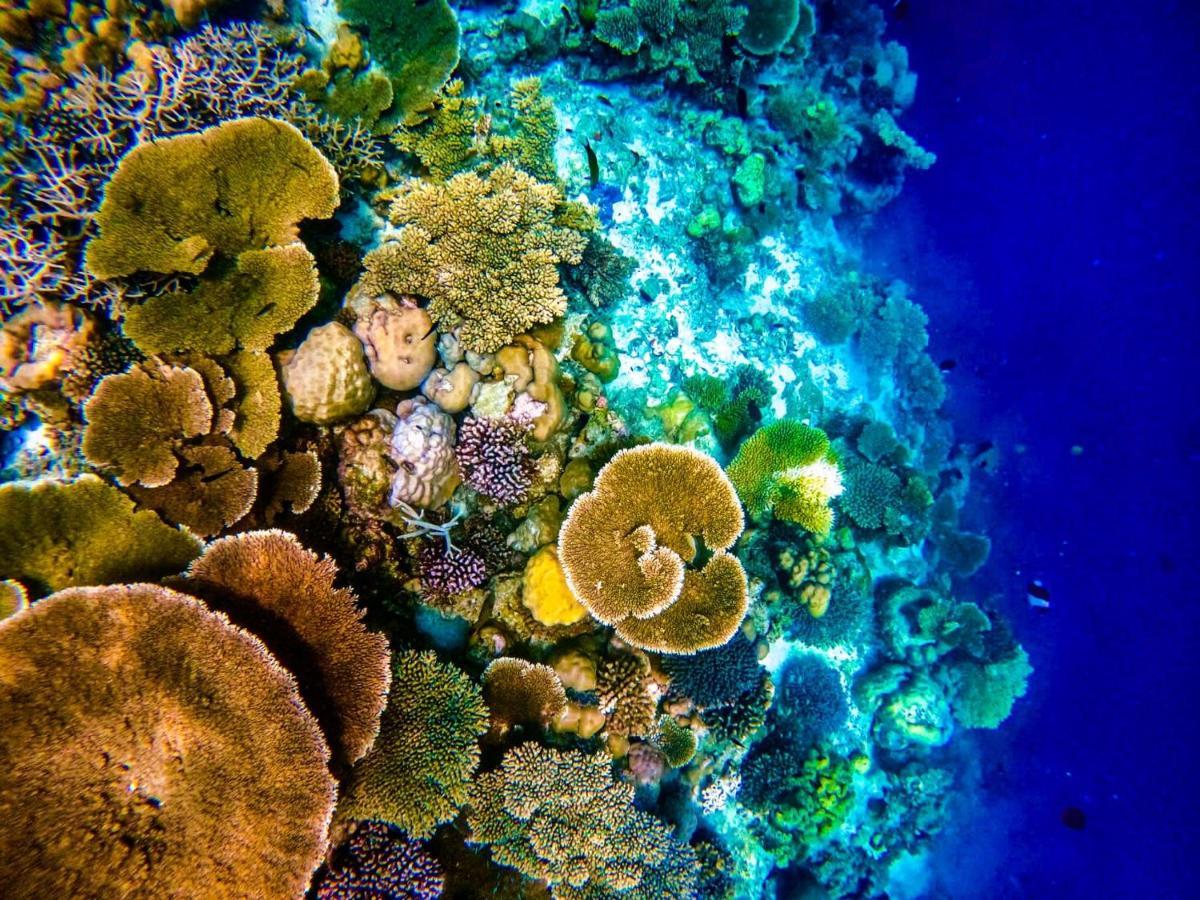 Reef Guest House Malé Kültér fotó